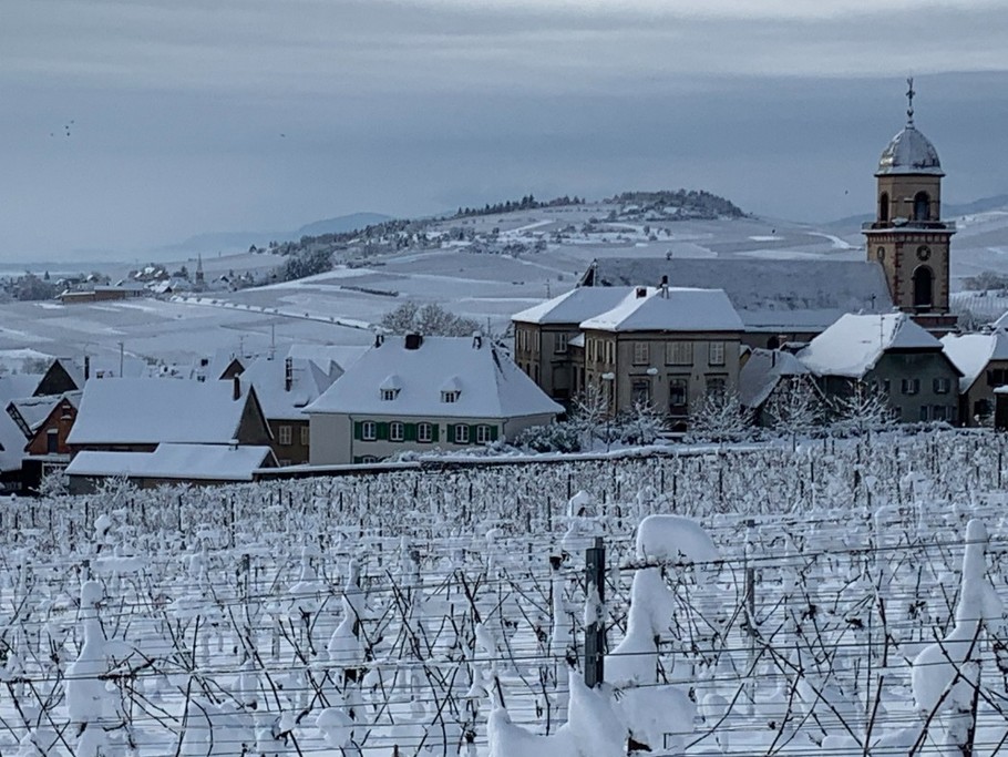 Photo n° 5 de la location