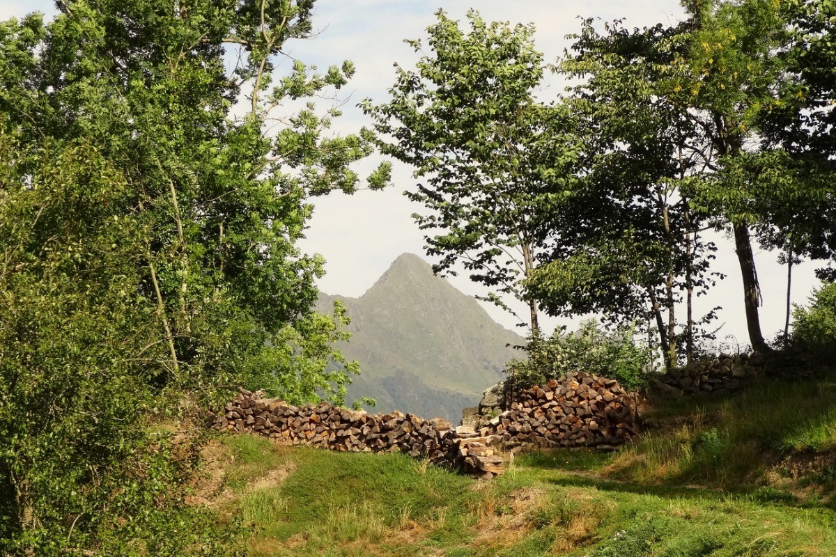 Vallée de Luz -Pic de Viscos