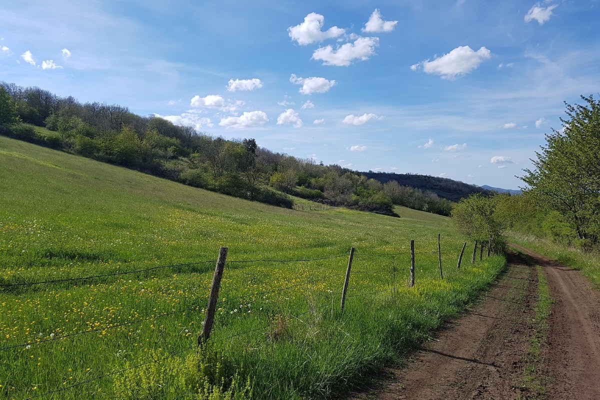 chemin