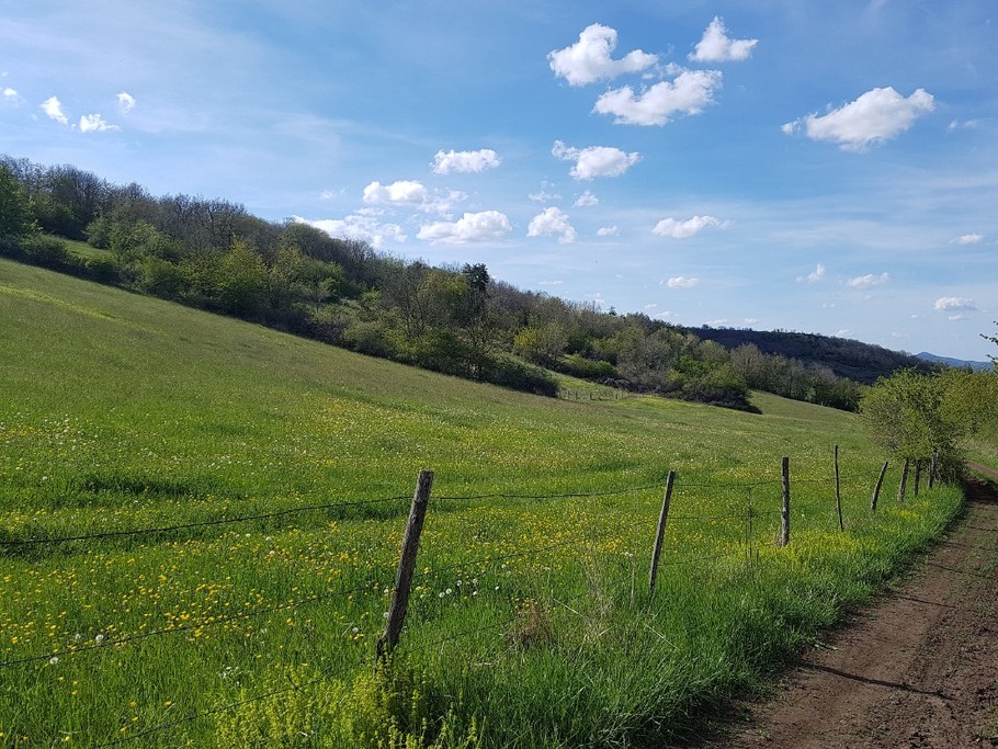chemin