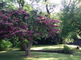 Image n° 5 de la location