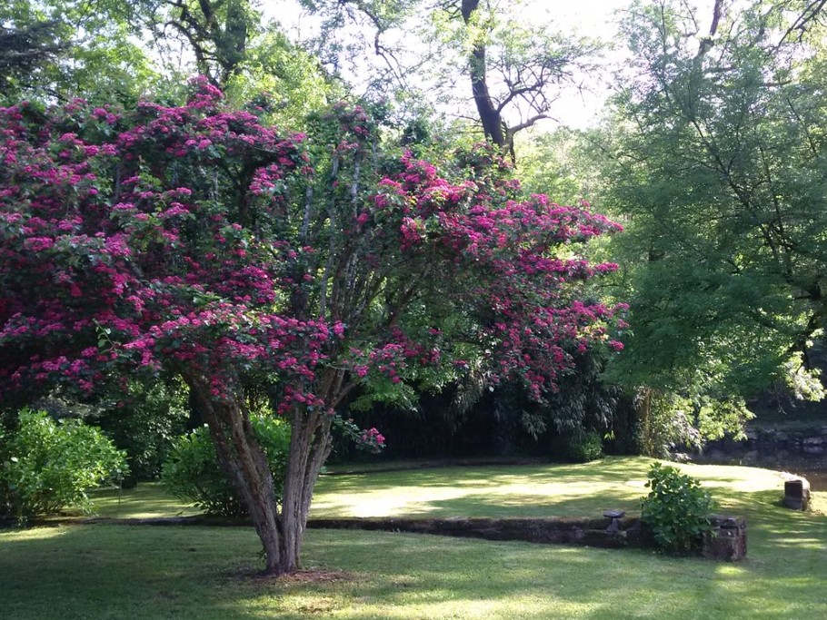 Photo n° 5 of the location