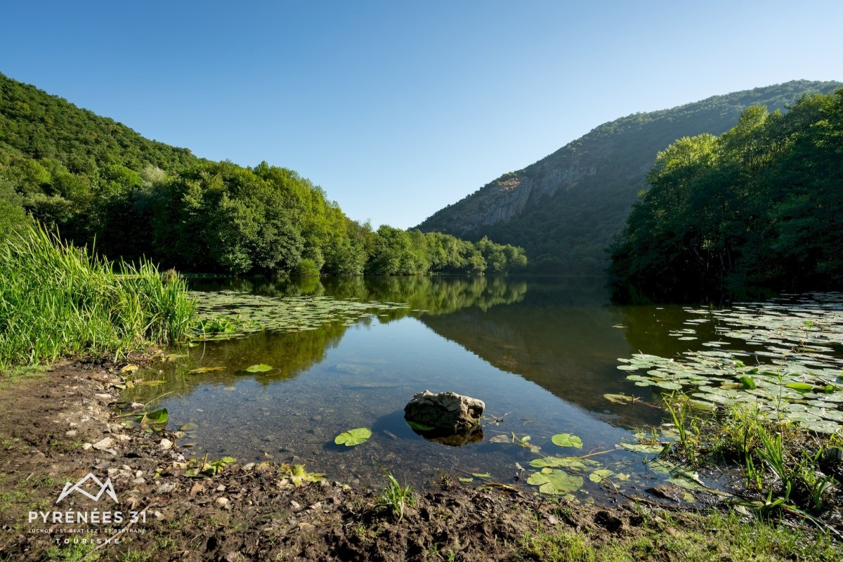 Photo n° 19 de la location
