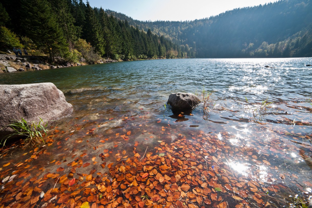 © M. Laurent-Lorraine Tourisme -Lac des Corbeaux-LA BRESSE