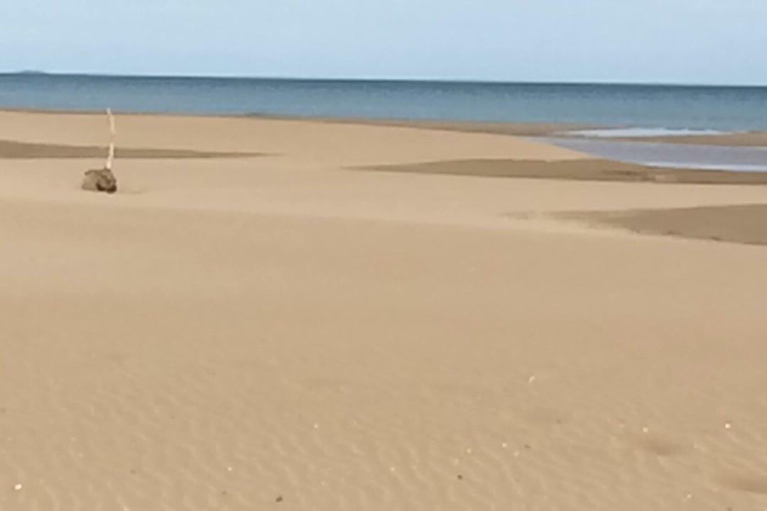 Photo n° 18 de la location