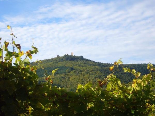 Les 3 Châteaux d' Eguisheim