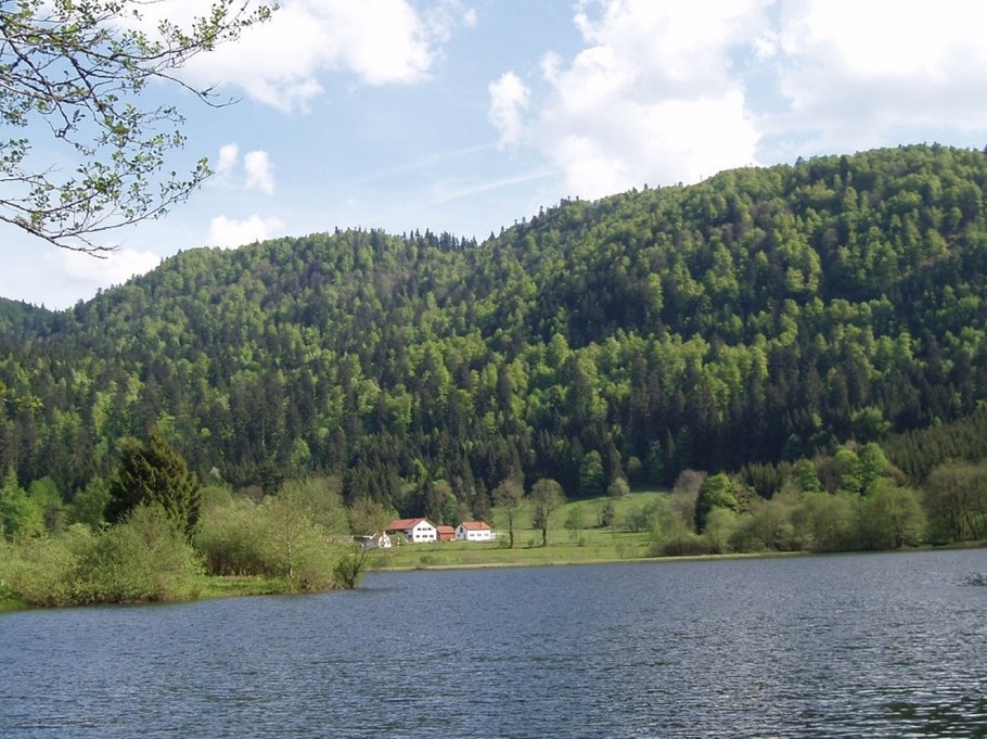 Vue depuis la route près du lac - Maison au calme entre Gérardmer et La Bresse – Proche lac de Retournemer