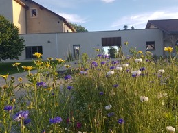 Image n° 4 de la location