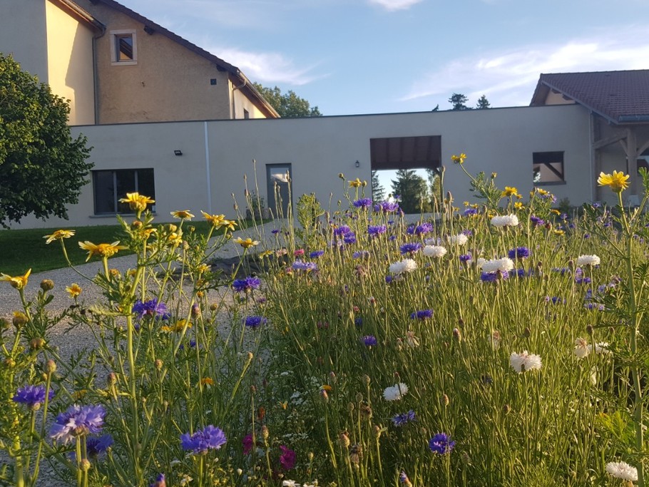 Photo n° 4 of the location