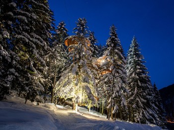 Tribu Perchée paysage d'hiver Bol d'Air (c) Michel Laurent