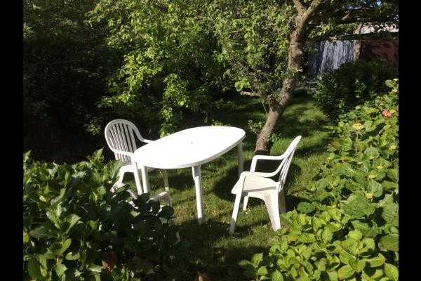 Jardin et verger arrière