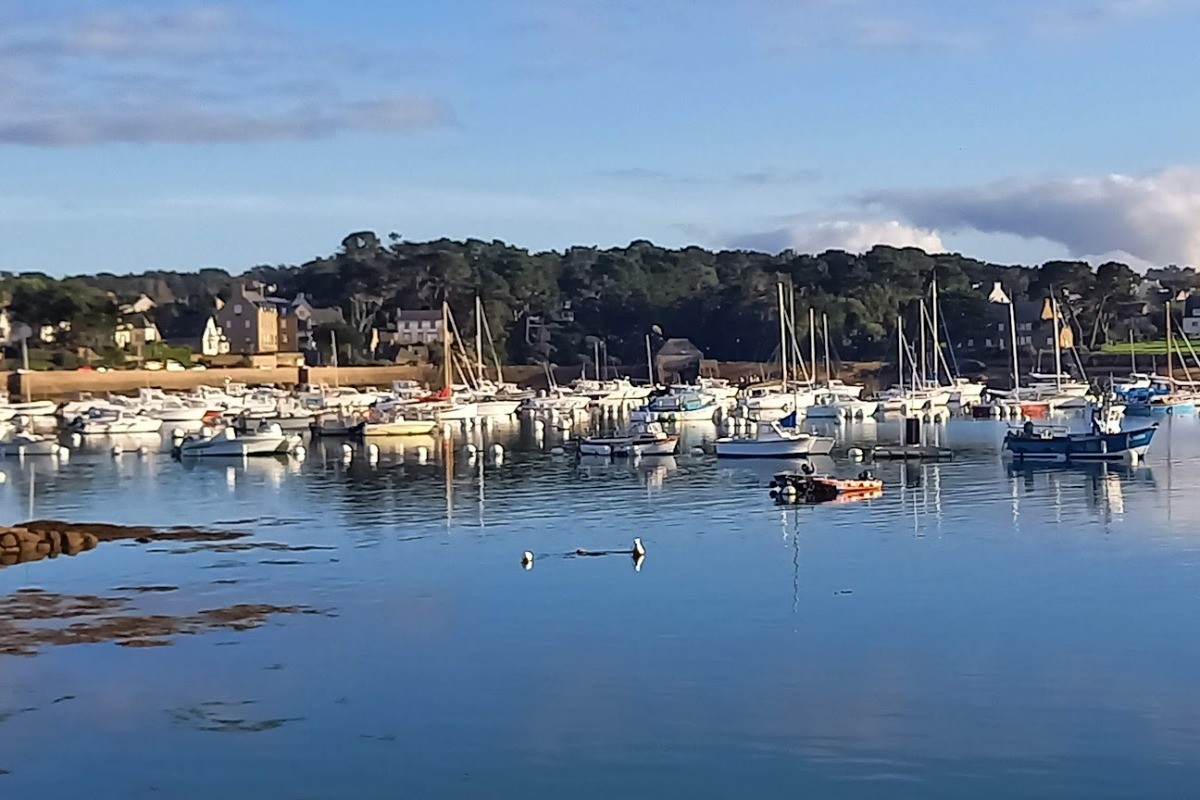 Port de Ploumanac'h à proximité