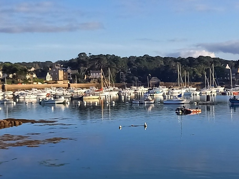 Port de Ploumanac'h à proximité