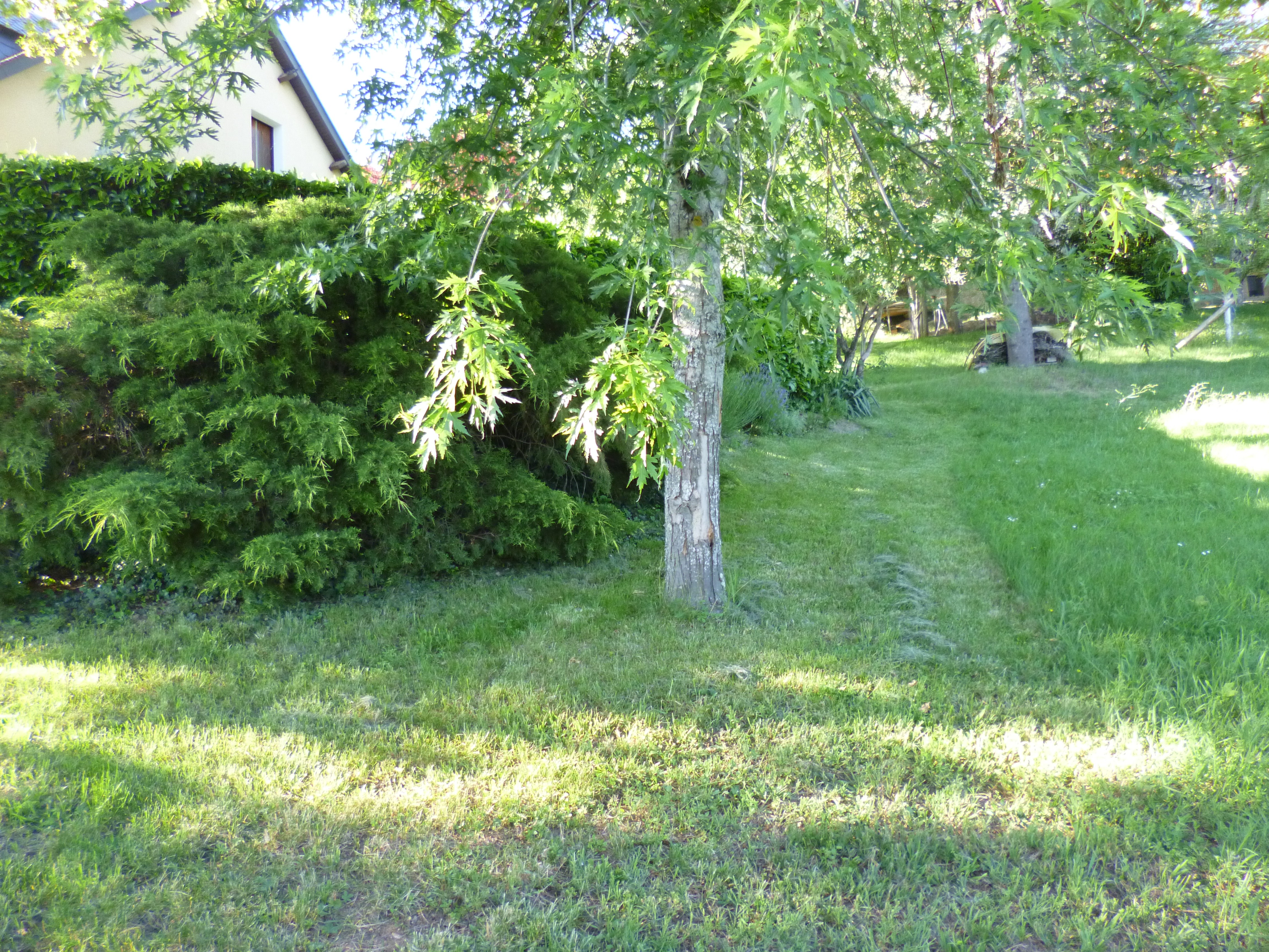 Photo n° 11 de la location