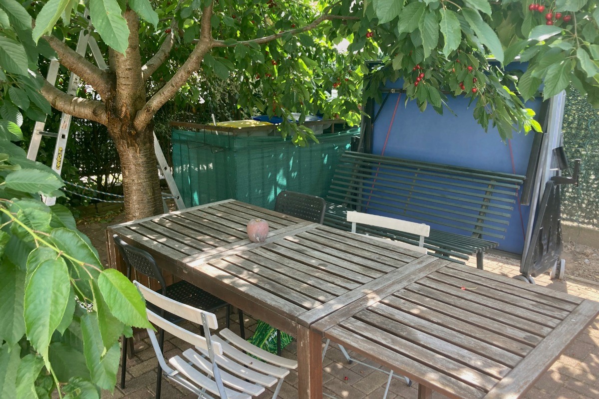 Photo n° 6 de la location