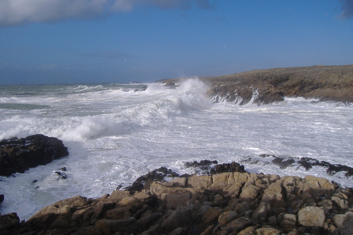 QUIBERON : Côte sauvage