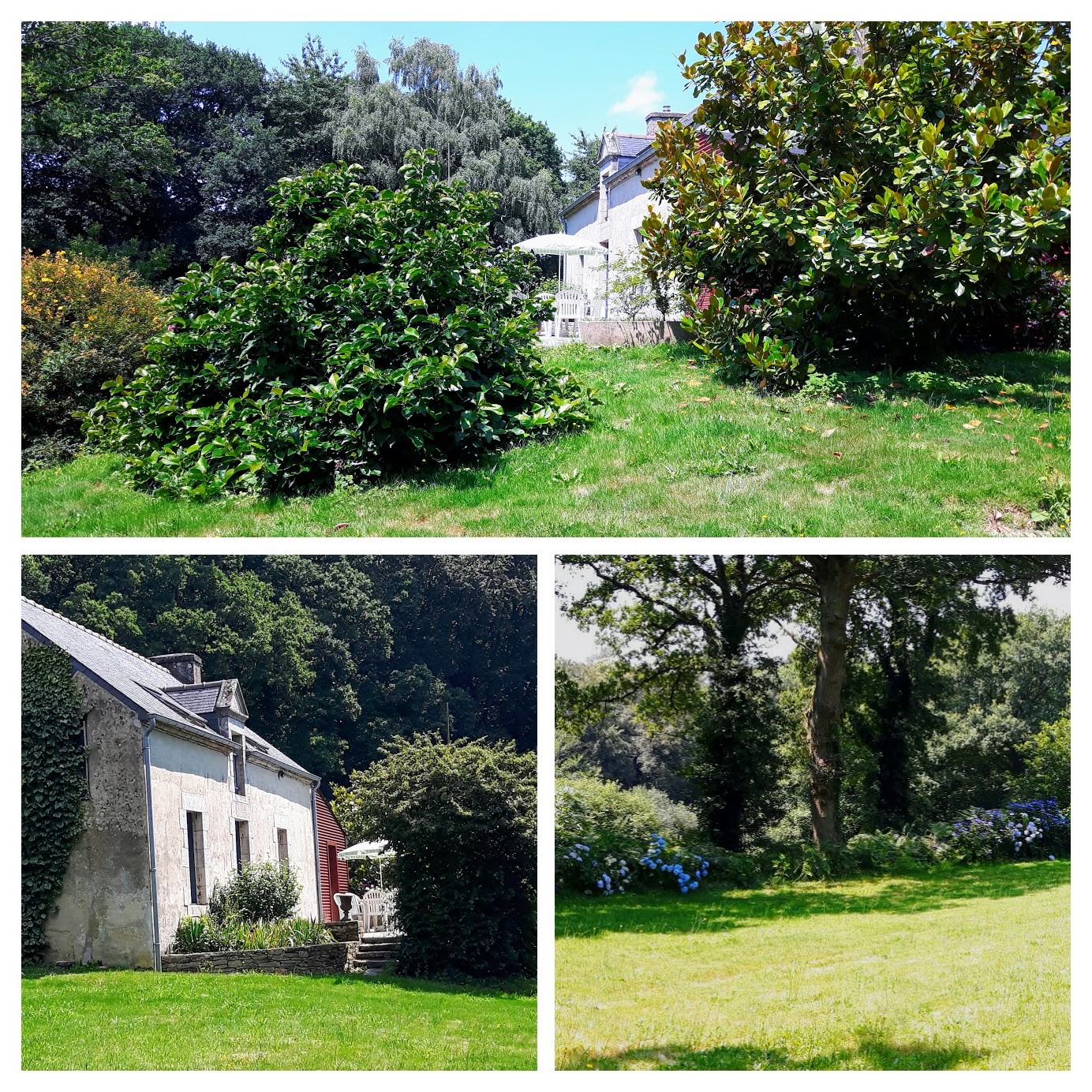Le gîte et son envieonnement