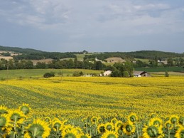 Image n° 3 de la location