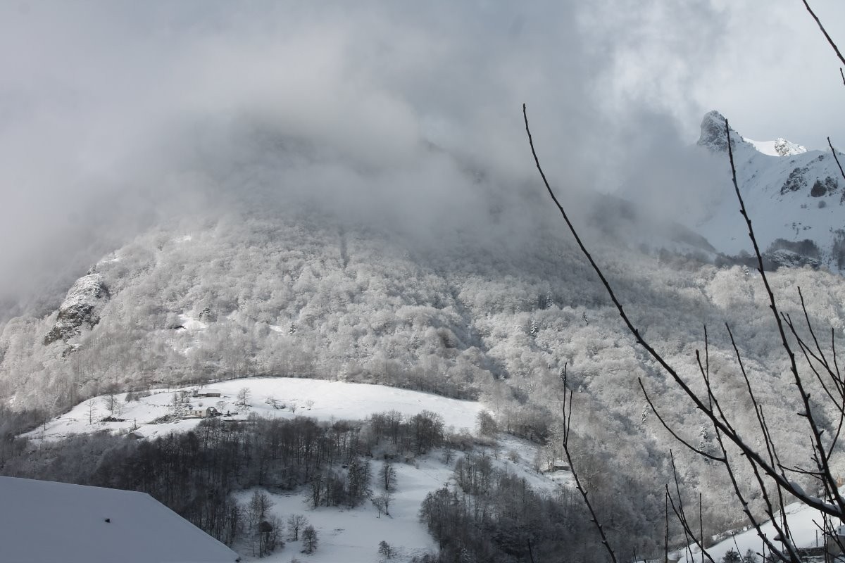 lendemain de neige