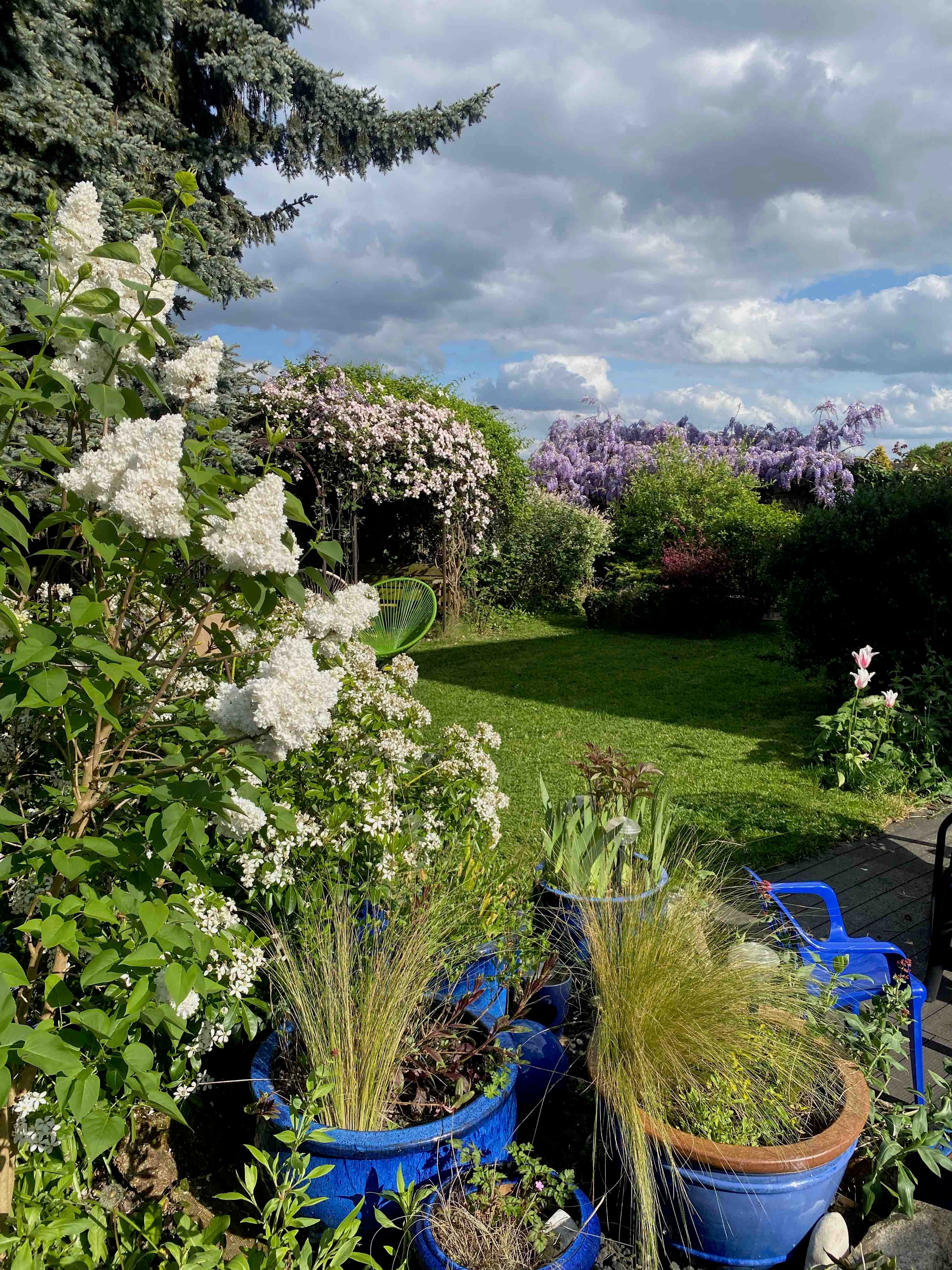 view of our garden in MAY