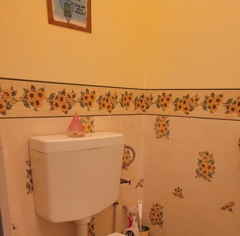 Chambre d'hôtes Clévacances, Ploluha, chez M. et Mme Mac Lachlan, le WC indépendant de la chambre familiale