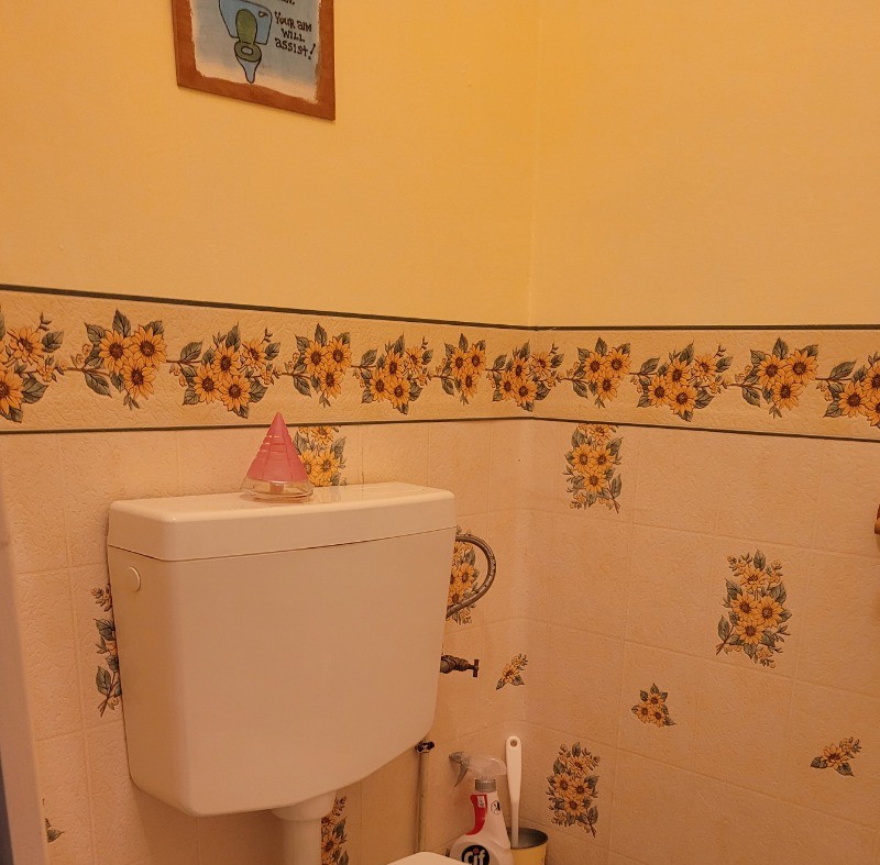 Chambre d'hôtes Clévacances, Ploluha, chez M. et Mme Mac Lachlan, le WC indépendant de la chambre familiale