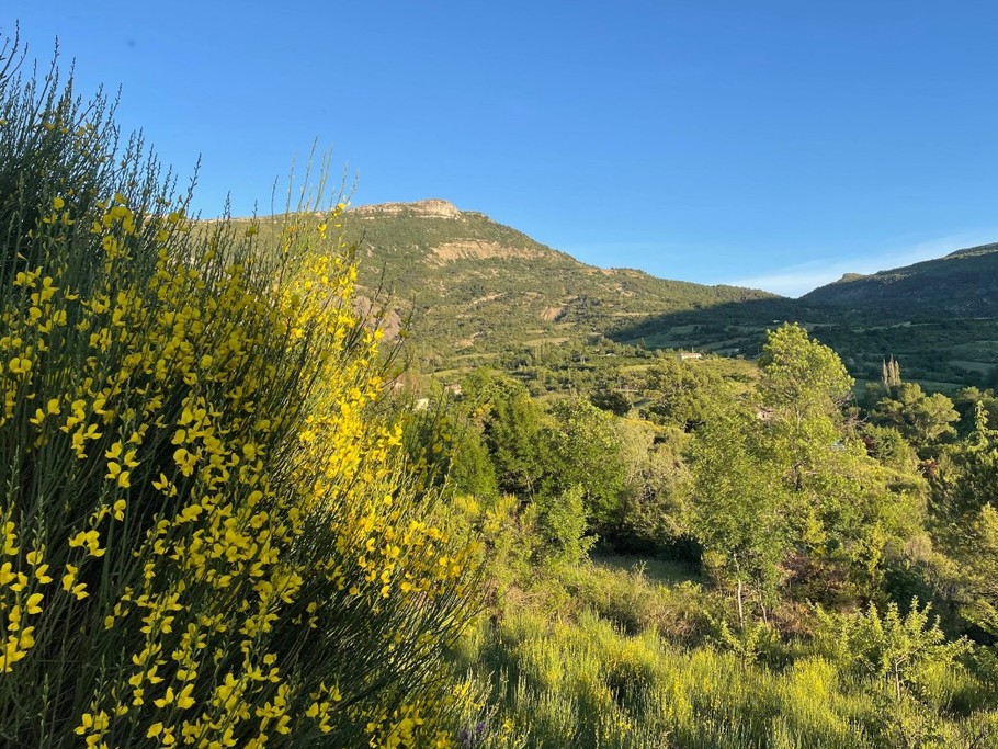 vue sur les montagnes