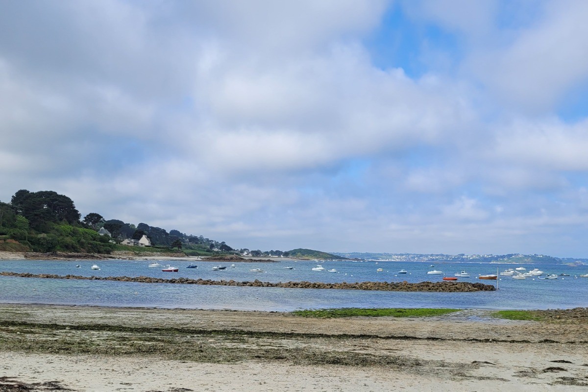 Photo n° 19 de la location