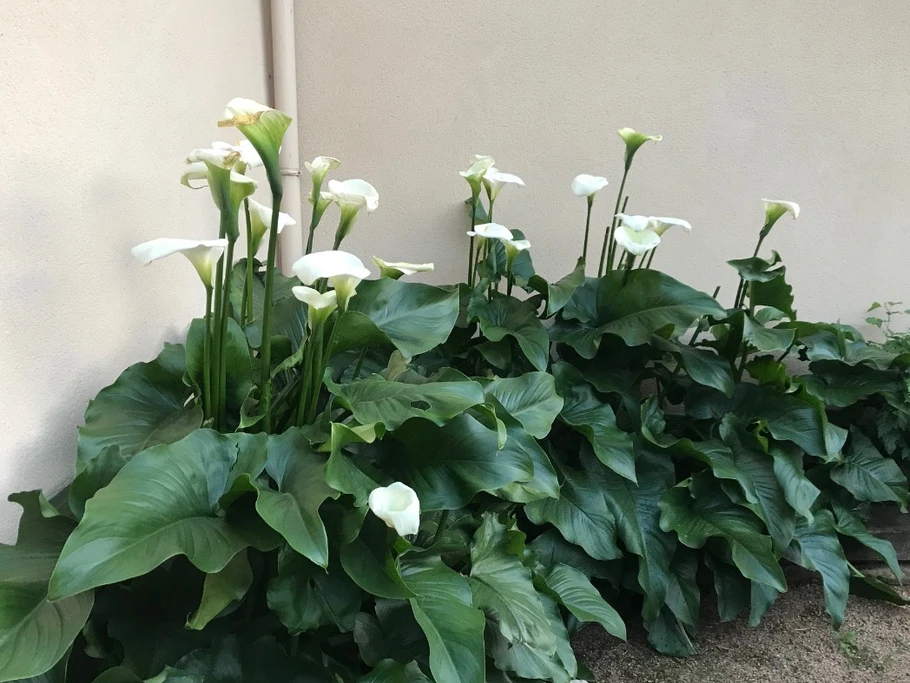 Séjour en gîte avec piscine, pour 12 personnes, avec piscine privée couverte en Creuse la cour