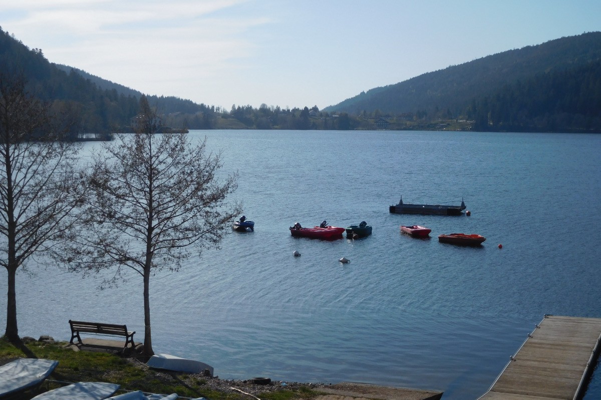 Lac de Gérardmer à 50m de la résidence - Lakeside Escape