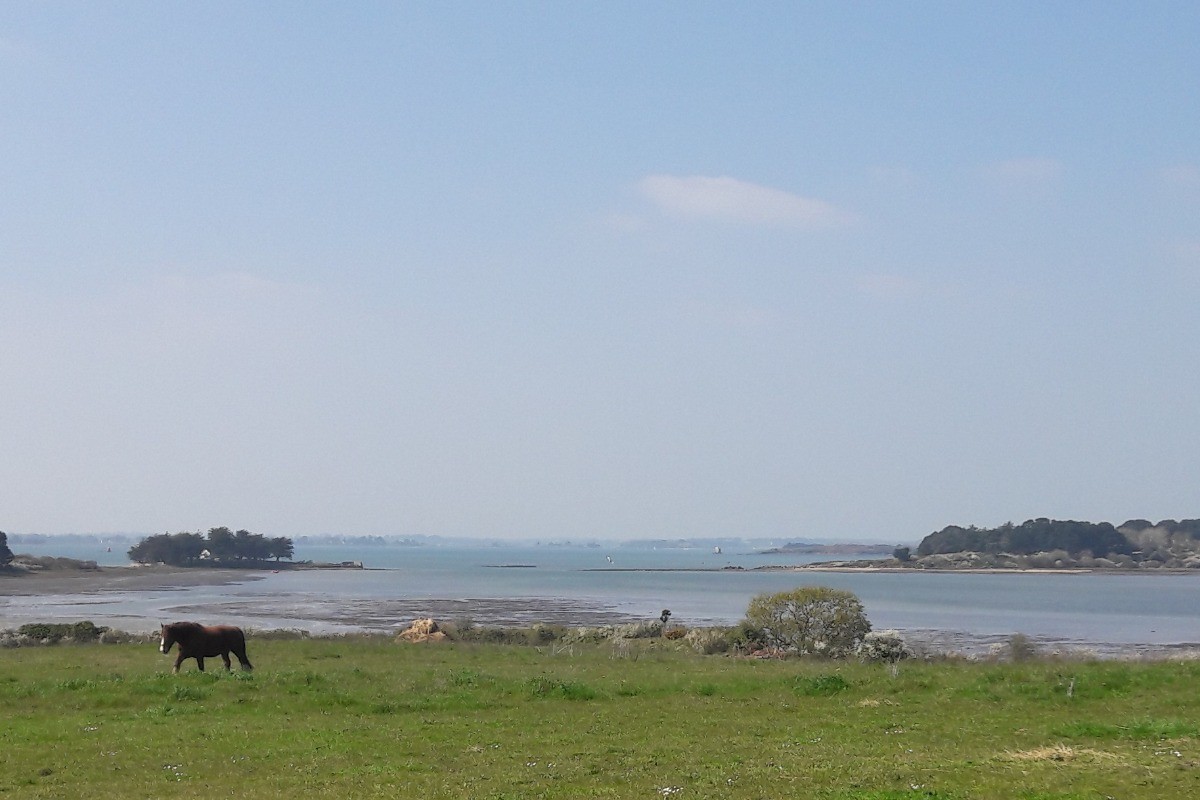 Le Golfe du Morbihan vu depuis l'entrée de Montsarrac