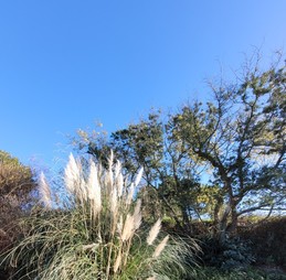 Image n° 3 de la location