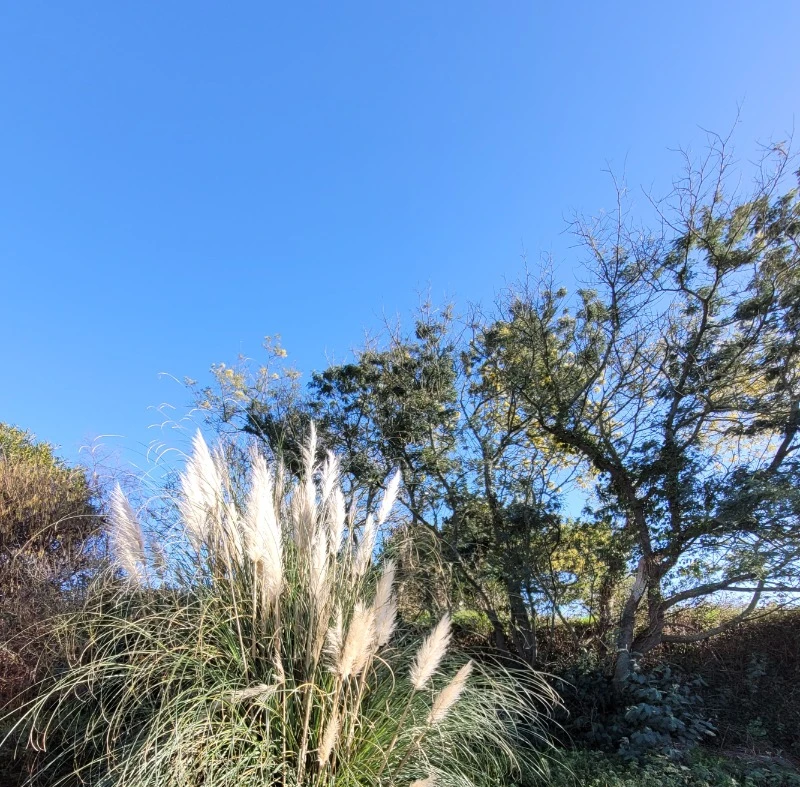 Photo n° 3 de la location