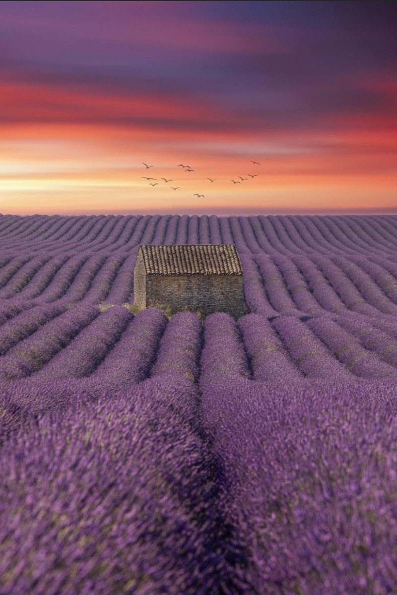 Photo n° 14 de la location