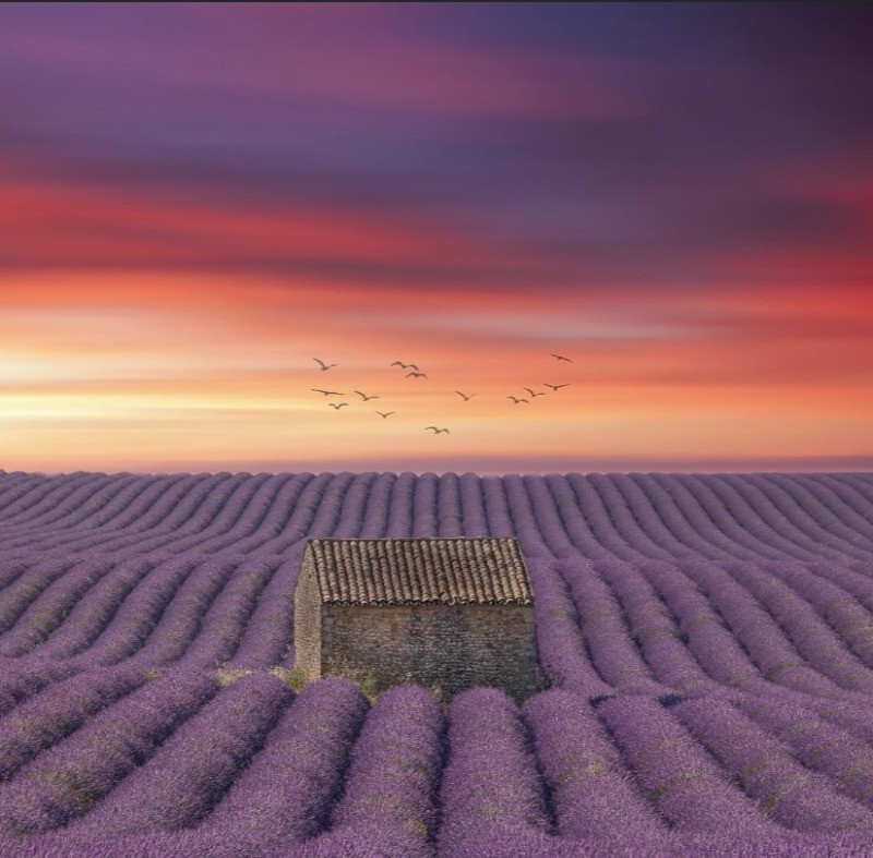 Photo n° 14 de la location