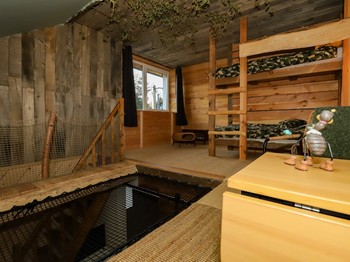 Esprit Cabane room - L'Hôtel Enfoncée Bed and Breakfast Le Val d'Ajol