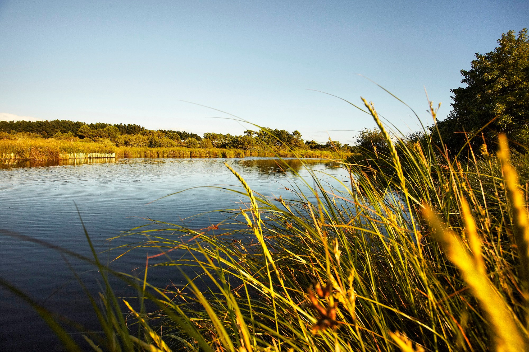 Le polder de Mousterlin