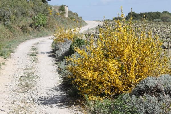 Photo n° 12 de la location