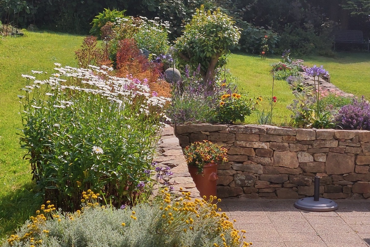 jardin