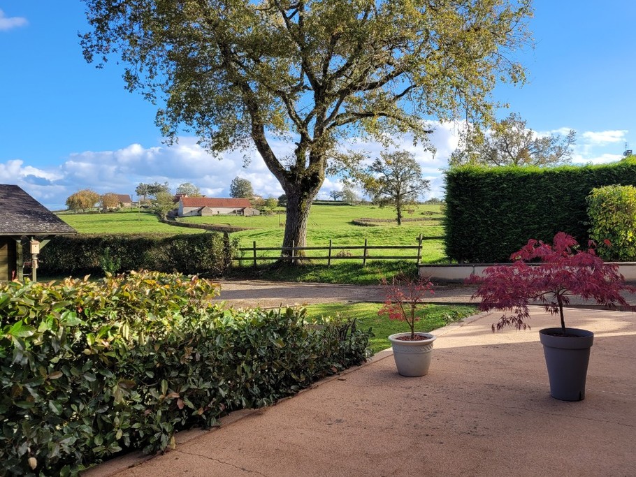 La vue de la terrasse