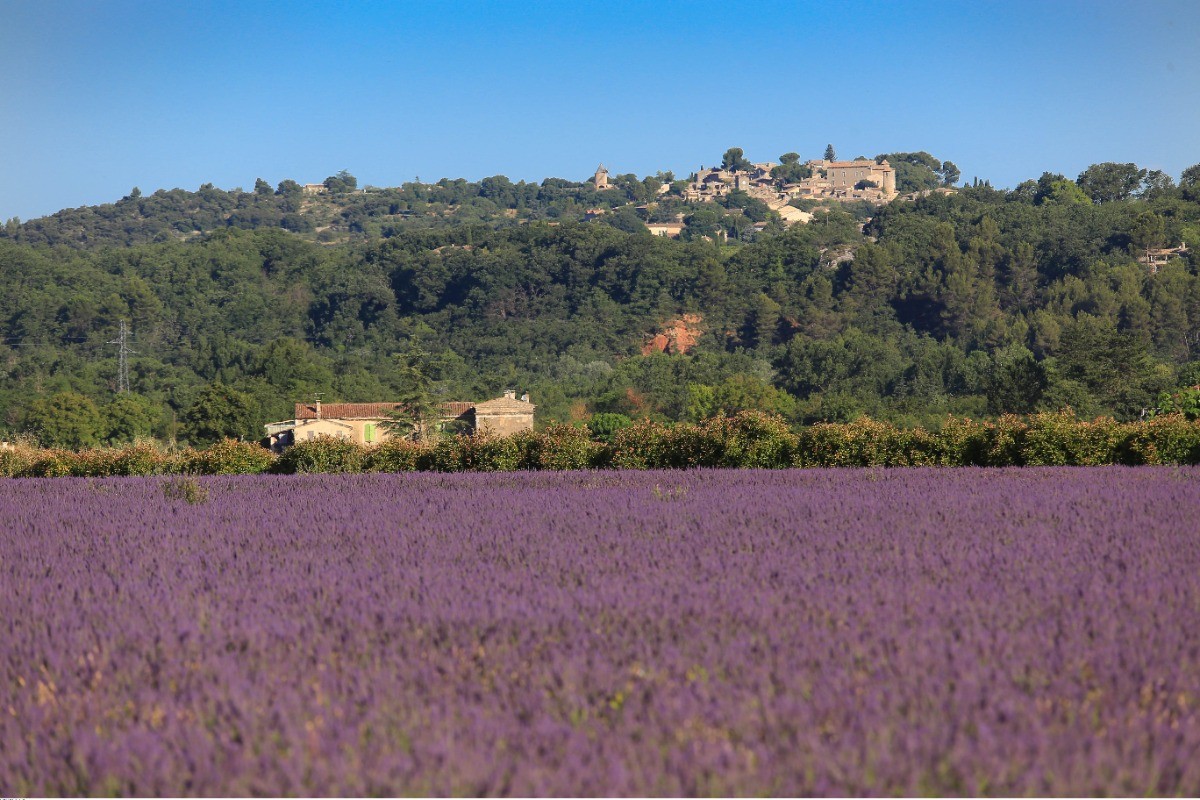 Vue sur le village de Goult (©VPA/A.Hocquel)