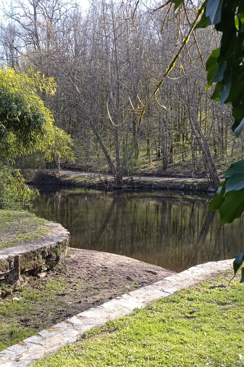 Photo n° 6 de la location