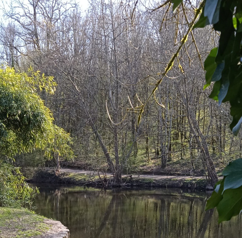 Photo n° 6 of the location