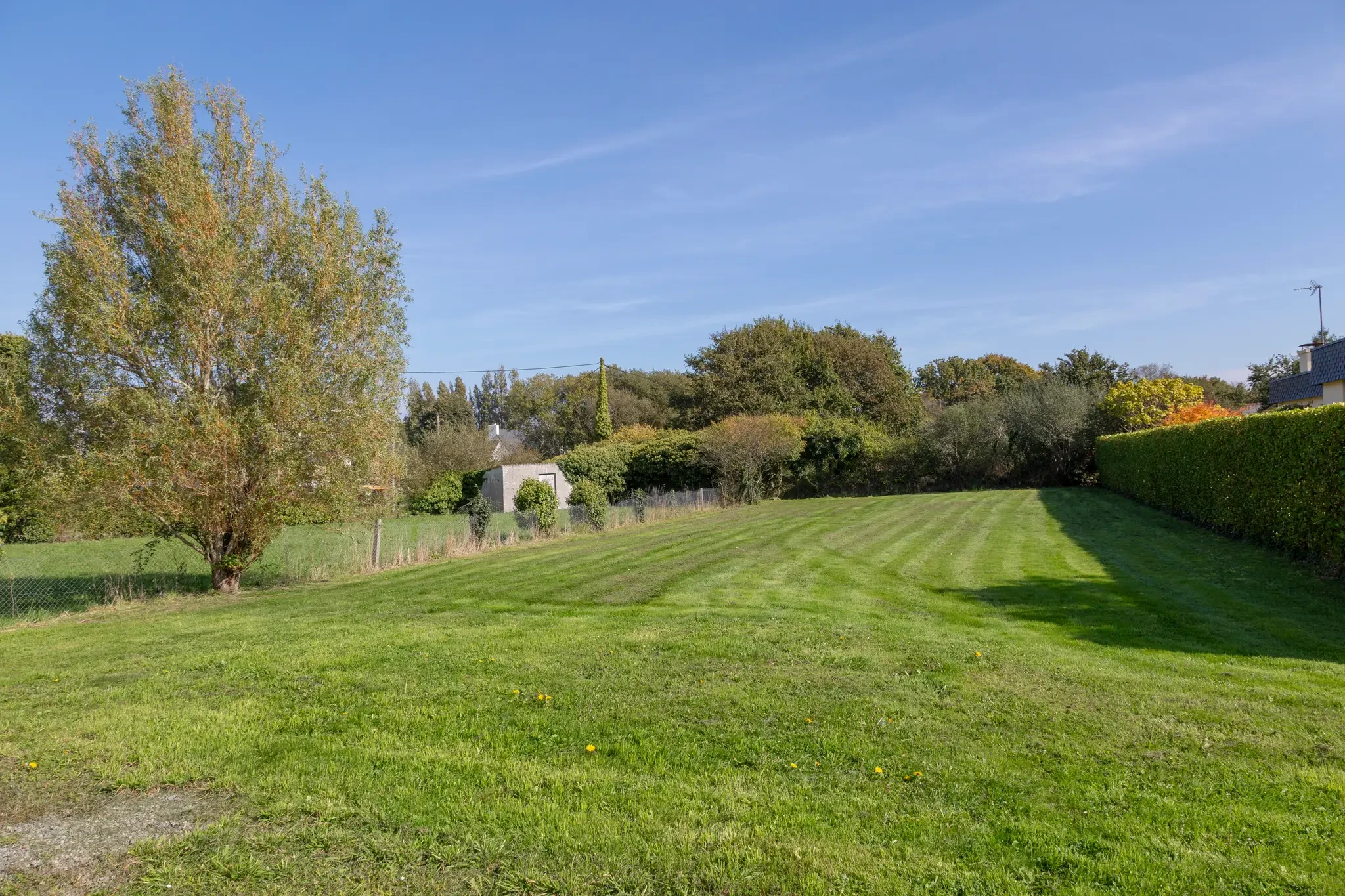 1000m2 garden to share