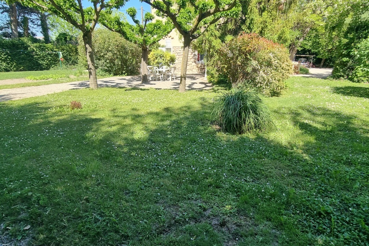 jardin