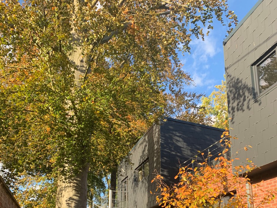 Photo n° 3 of the location