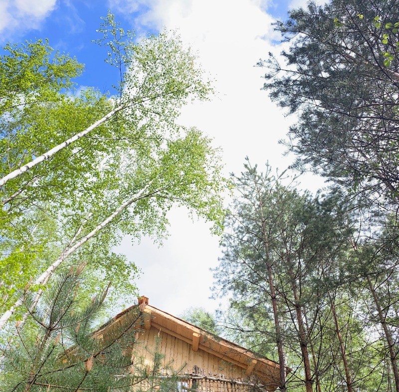 Cabane Perchée Jules Verne - Les Cabanes du Lac de Pierre Percée