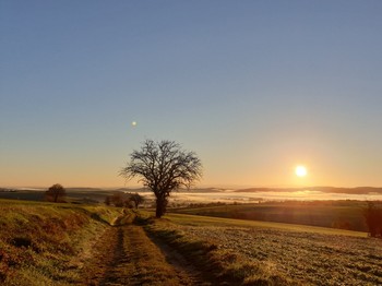 Photo n° 19 of the location