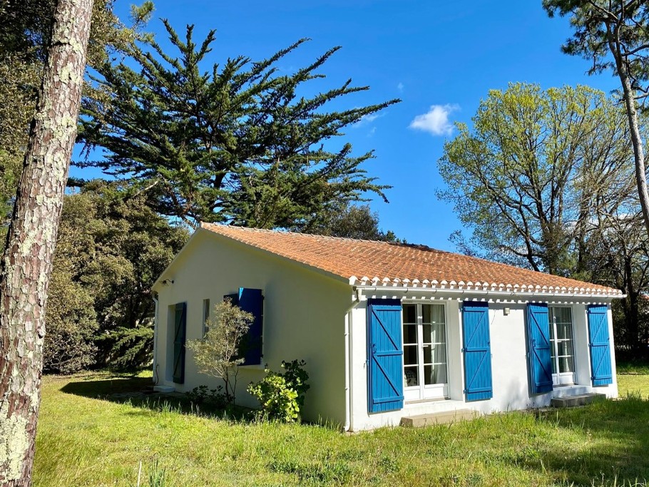 Photo n° 11 of the location