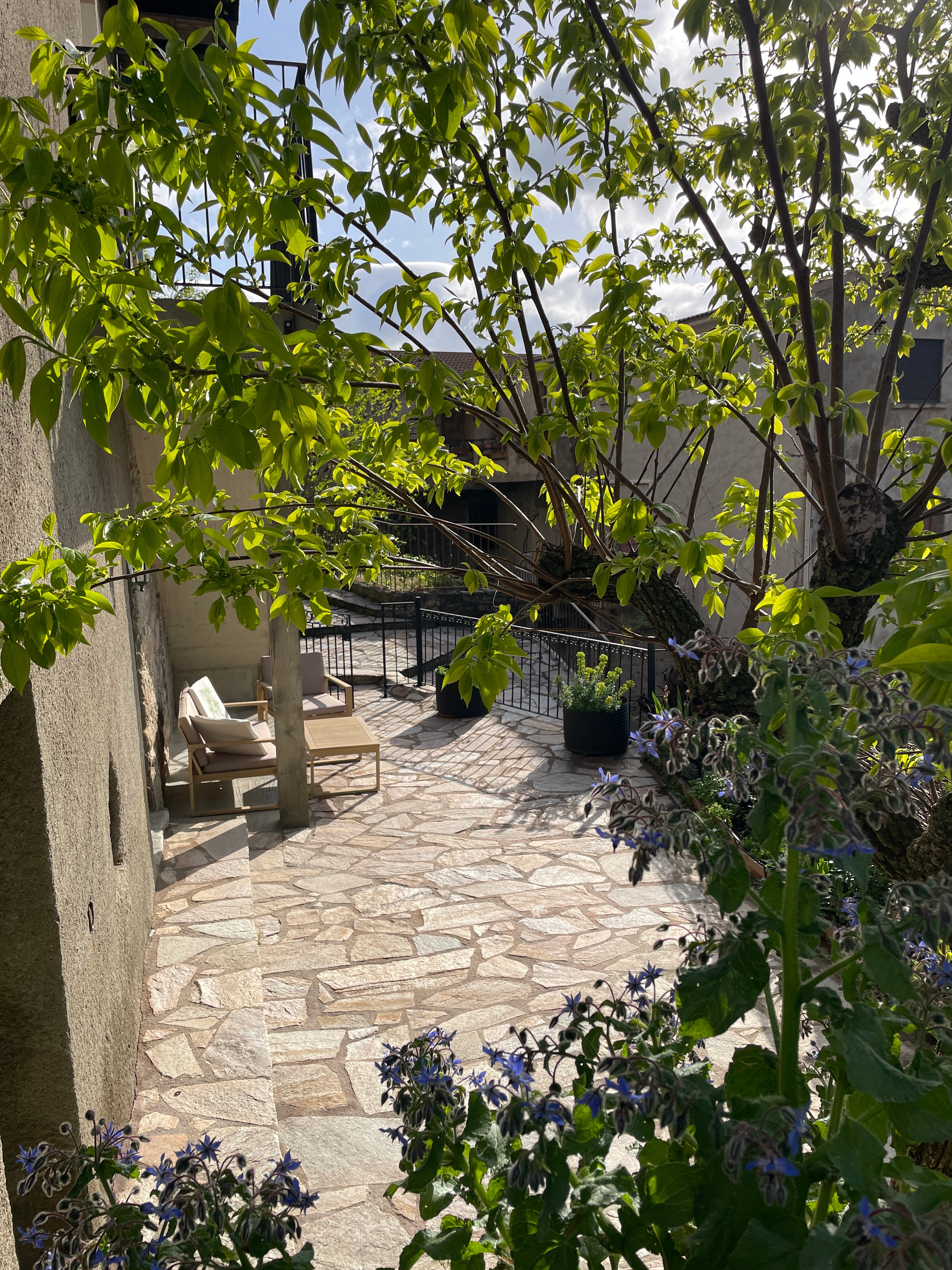 La terrasse